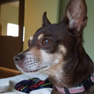 Meet your Posher, Nanja